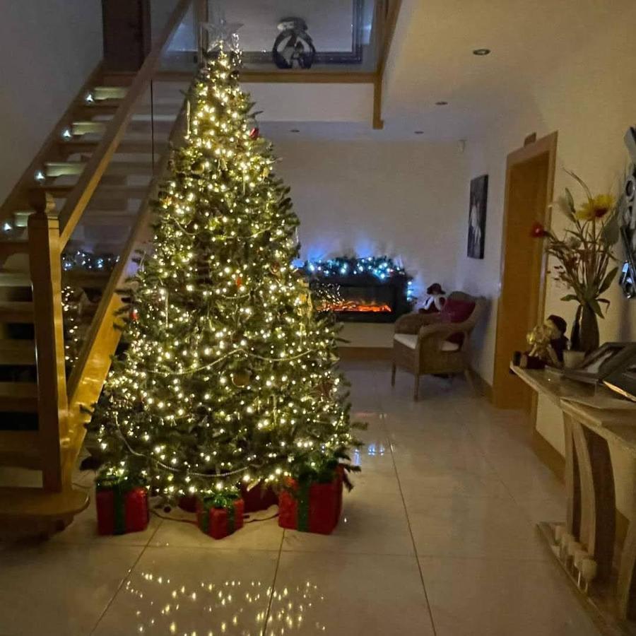 Woodview Bed & Breakfast Kilkeel Dış mekan fotoğraf